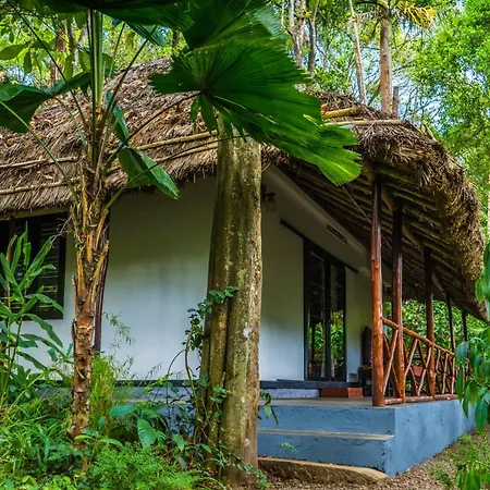 Amritara Shalimar Spice Garden Resort & Spa-2