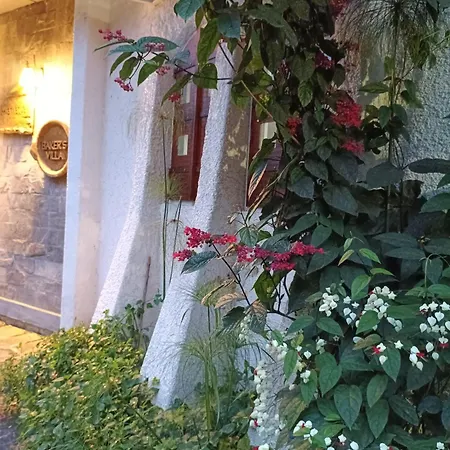 Mistletoe Munnar Homestay & Cafe-2
