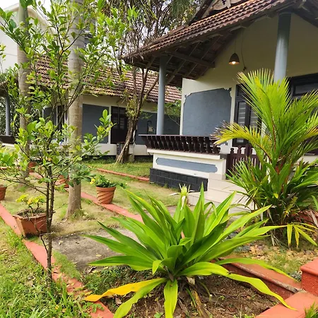 Divine Bliss Beach Resort-2