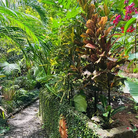 Fab Valley Homestay-2