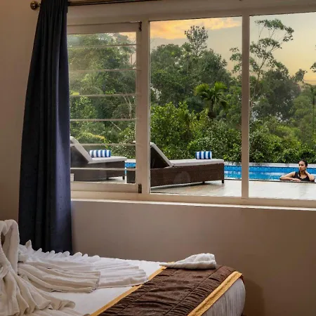 Munnar Ice Queen Resorts-3
