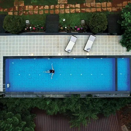 Munnar Ice Queen Resorts-2
