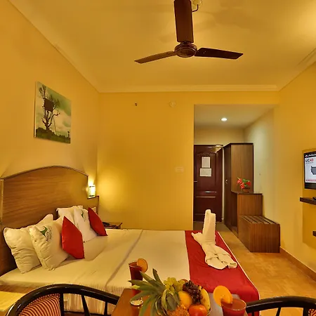 Misty Mountain Resort-3