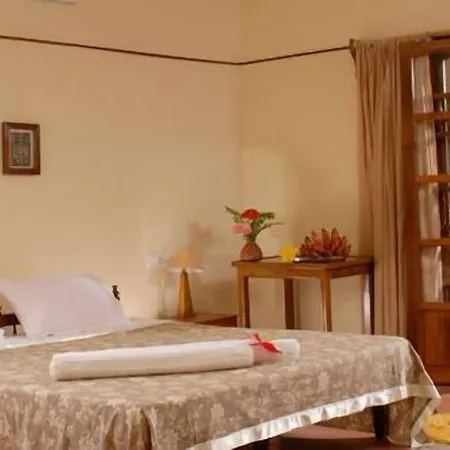 Palmleaves Beach Resort-3