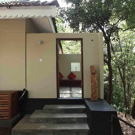 Rainforest Resort-2