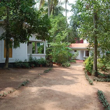 Jickys Nest-3