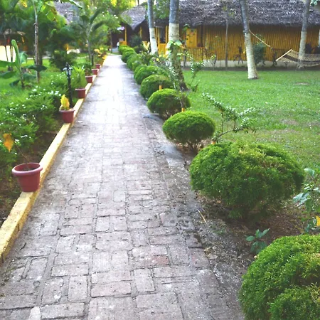 Savithri Inn Bamboo Cottages & Resorts-2