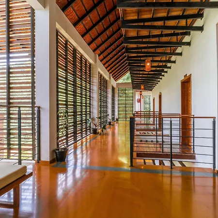 Cuckmere Resort Munnar-2