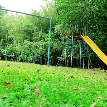 Vythiri Greens Holiday Resort-3