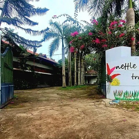 Nettle Trees Farm Stay-2