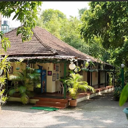 Palm Grove Service Villa-2