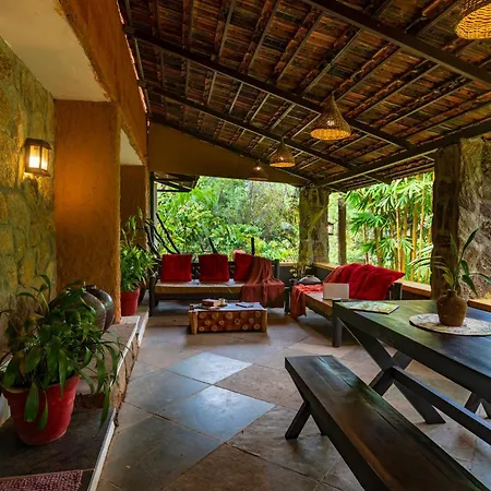 Beyond Eco Living-3