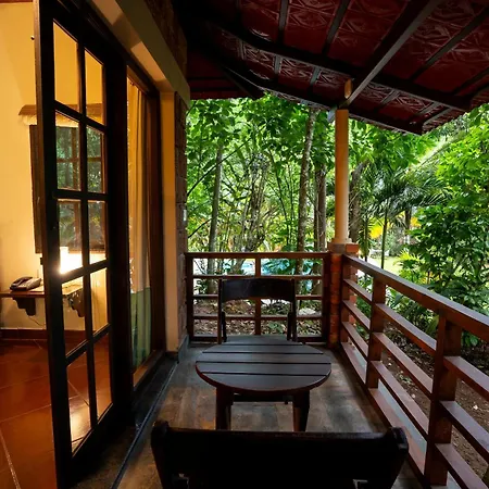 Raindrops Resorts Wayanad-3