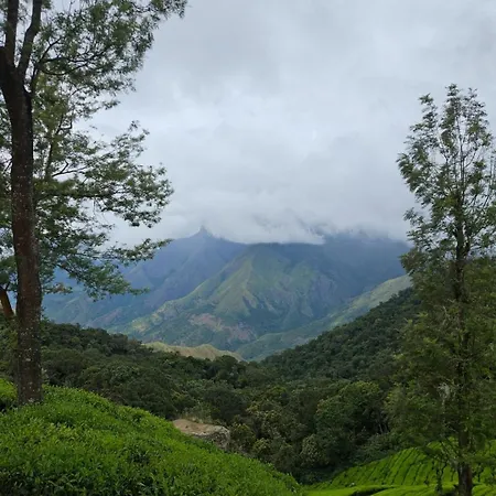 Celeste Inn At Vagamon-3
