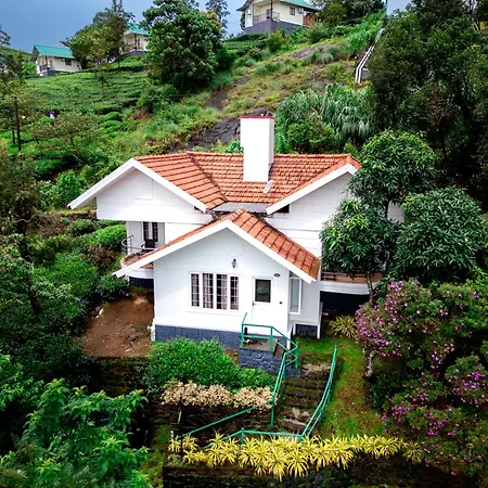 Falcon Crest-2