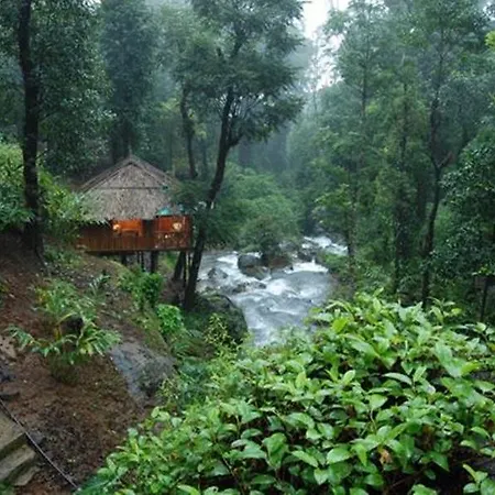 Blue Ginger Wayanad Resorts-3