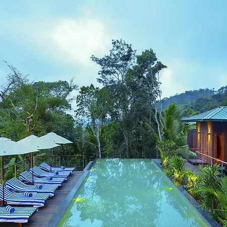 Niraamaya Retreats Cardamom Club-3