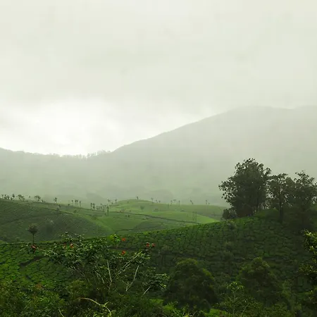 Munnar Valley View-2