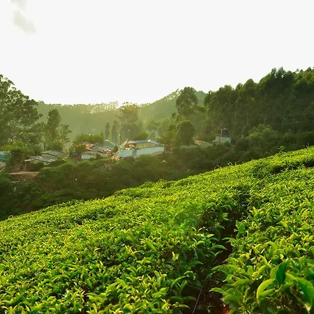 Munnar Valley View-3