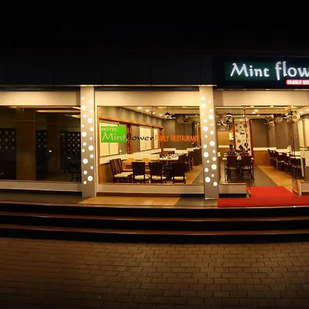 Hotel Mintflower-2