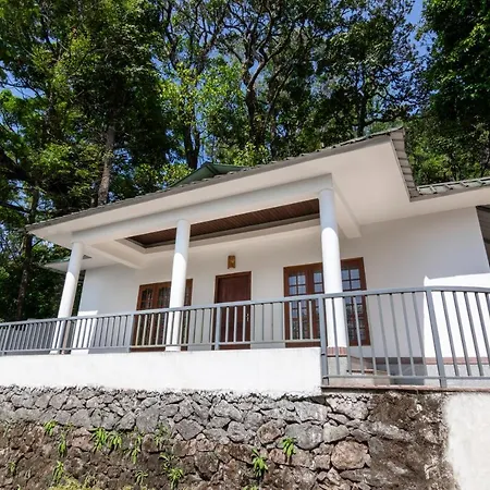 Deep Woods Resort-3