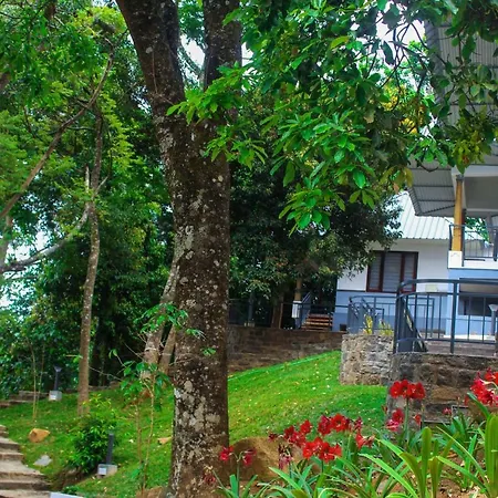 Golden Fern Resort-3