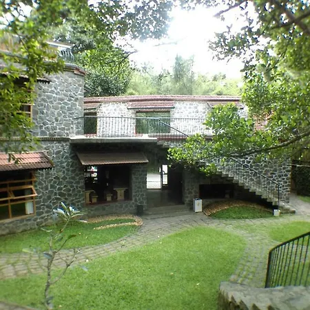 Wildernest-3
