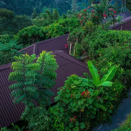 Ecotones Munnar By Eden Environs-2