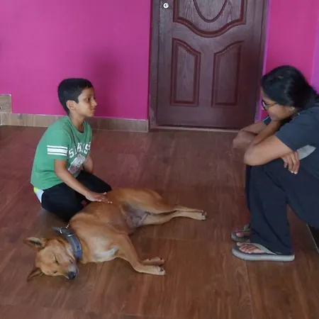 Grace Inn Munnar Homestay-3