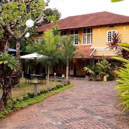 Tea Bungalow-2