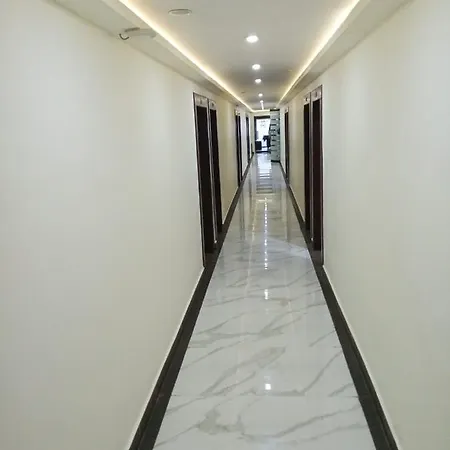 Hotel Aj Park Classic-2