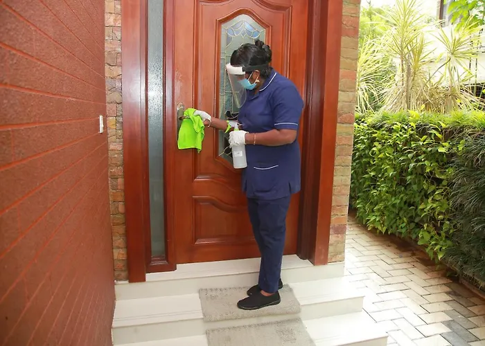 Pet friendly Casa Allay Kochi