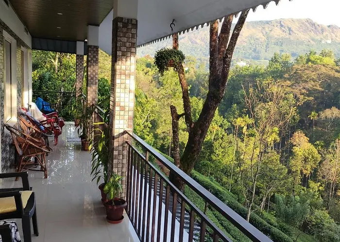 Green Tea View Munnar