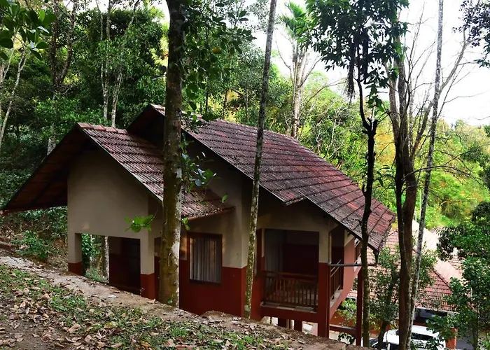 Terrace Resorts Wayanad