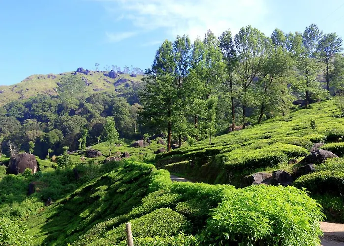 Alojamentos de temporada em Querala