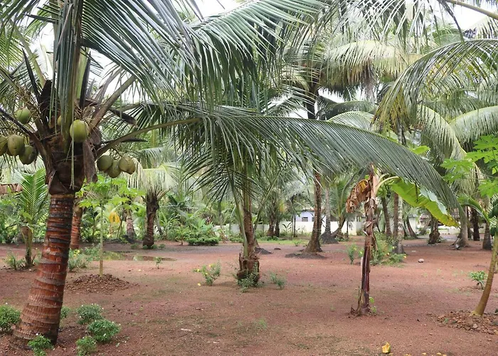 Riocasa Bed & Breakfast Alappuzha