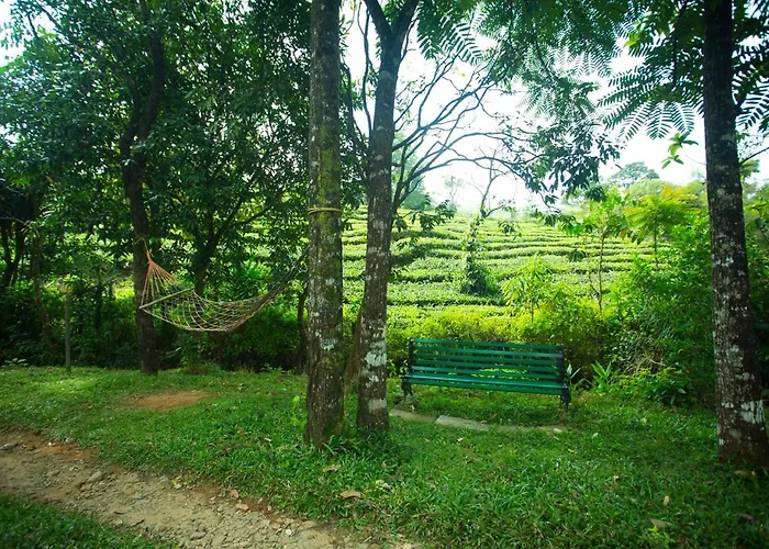 Alpine Vagamon Resort By Voye Homes