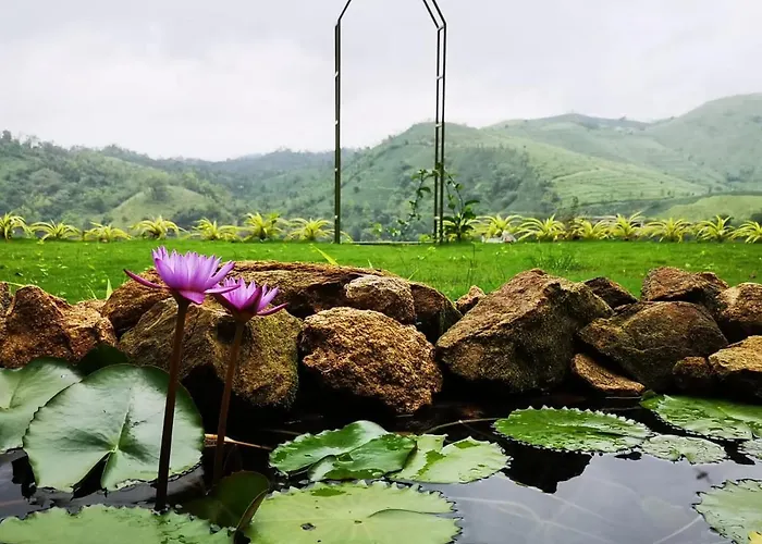 Idam Resort Vagamon