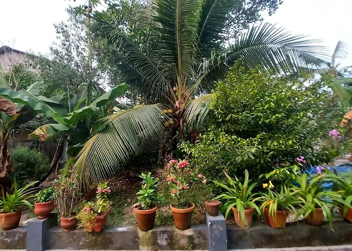 Grand Marari Bed & Breakfast Alappuzha