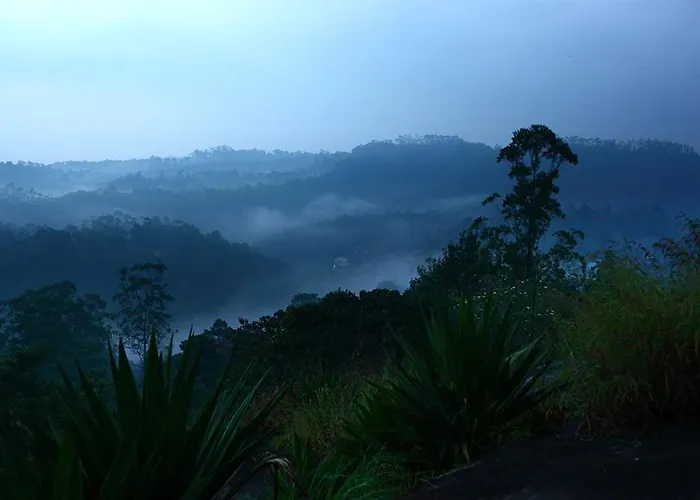 Zoz Idukki Hotel Munnar