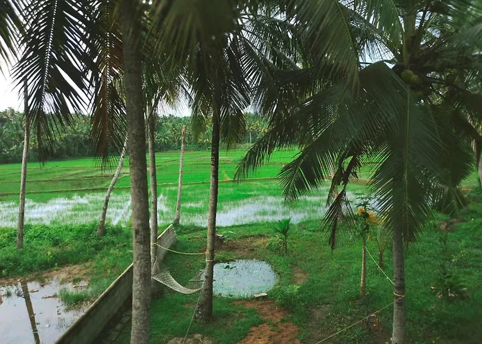 Paddy Farm House Hotel Varkala