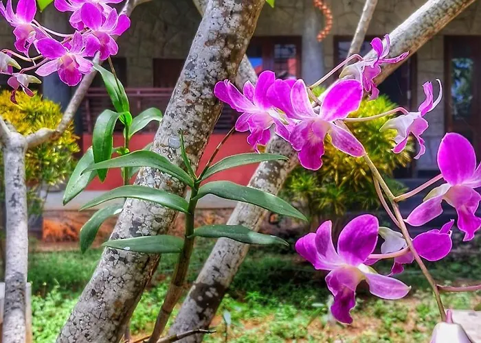 Vedic Heritage Boutique Hotel Kovalam