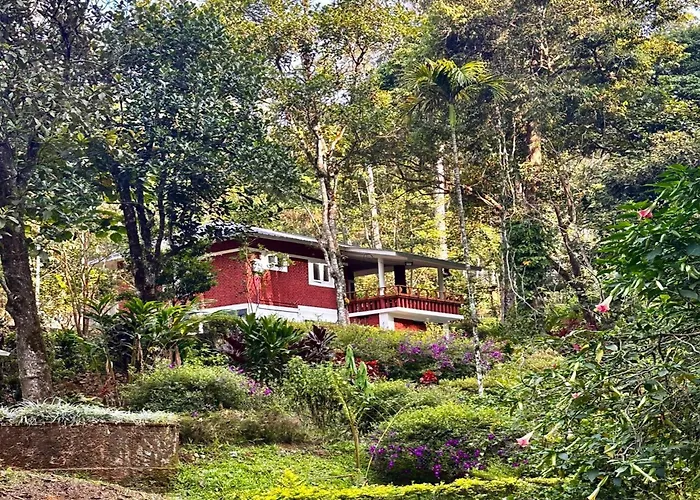 Falling Waters Munnar