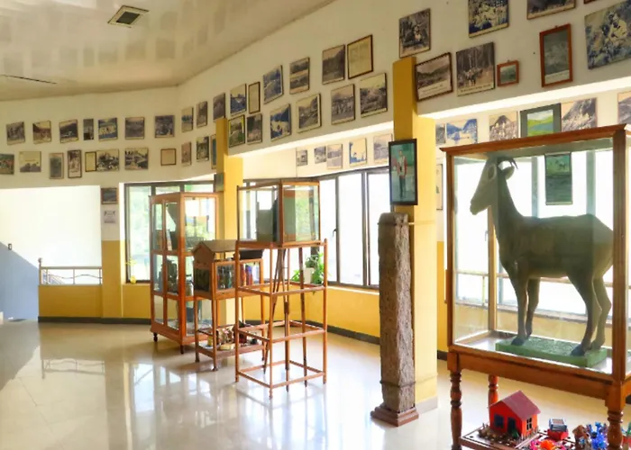 Ac Mist Hotel Munnar