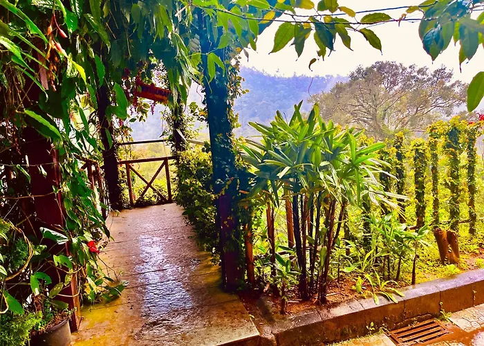 The Raarees Mist Resort, Munnar - Nested In Nature'S Lap