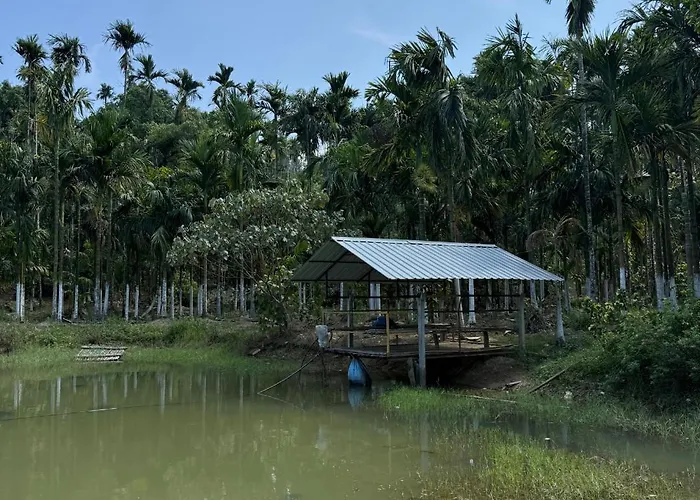 Jungle Castle Bed & Breakfast Wayanad