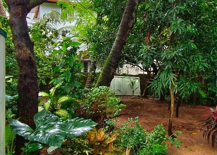 David Homes Kochi