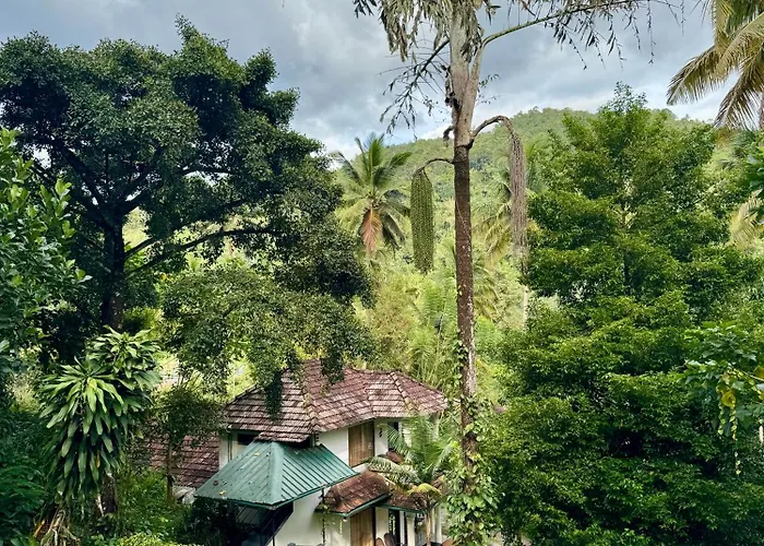 Thoppil Homestay Munnar