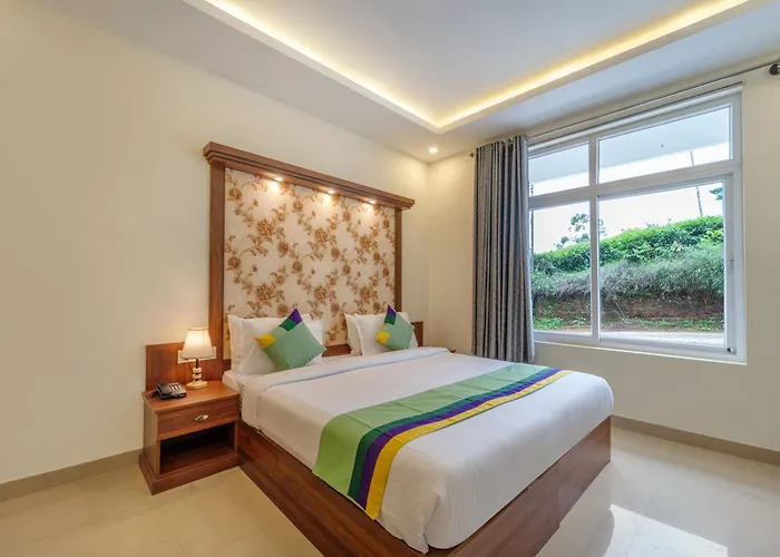 Treebo Windsong Resort Munnar, Tea Plantation View