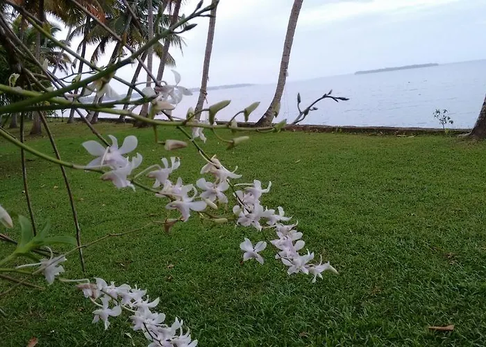 Vembanad House Boutique Back Water Retreat Apartment Alappuzha